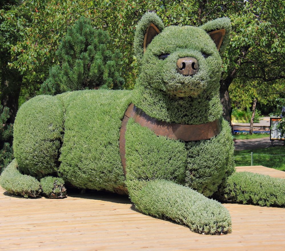 Living the Bigger Life